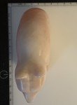 Inuit Soapstone Bear Art Carving