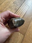 Wolf Soapstone Carving with Owl Design Collection