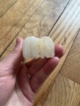 Wolf Soapstone Carving with Owl Design Collection