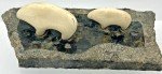 Hand-Carved Inuit Polar Bear Sculpture on Marble