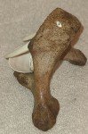 Signed Inuit Carving: Shell, Antler, Lava Rock Walrus