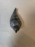 Hand-Carved Inuit Soapstone Seal - Signed & Numbered