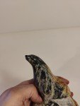 Signed Hand-Carved Inuit Stone Seal Sculpture