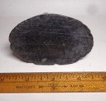 Hand-Carved Soapstone Seal and Wolf Figures