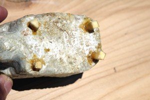 Hand Carved Inuit Soapstone Musk Ox Sculpture