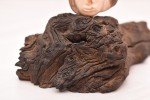 Inuit Stone Masks and Driftwood Sculpture Collection