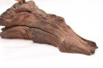 Inuit Stone Masks and Driftwood Sculpture Collection