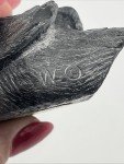 Inuit Soapstone Duck Sculpture - Handmade Original