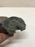 Inuit Soapstone Walrus Carving by Luke