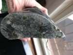 Signed Inuit Stone Hunter with Walrus Sculpture