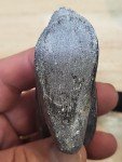 Hand Carved Inuit Soapstone Bird Sculpture