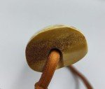 Yupik Handmade Carved Inuit Sunglasses