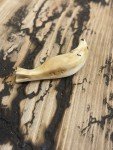 Antique Signed Inuit Seal Carving Figurine