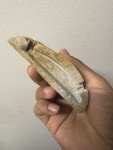 Soapstone Inuit Art Carving Piece