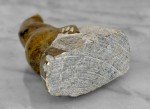 Traditional Inuit Soapstone Seal Carving Sculpture
