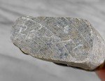 Traditional Inuit Soapstone Seal Carving Sculpture