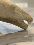 Mid-Century Inuit Polar Bear Carving