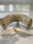 Mid-Century Inuit Polar Bear Carving