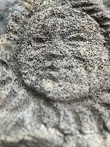 Vintage Inuit Whale Mask Carving – Unique Art