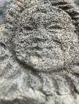 Vintage Inuit Whale Mask Carving – Unique Art