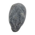 Inuit Soapstone Seal Carving - 5" Signed Art