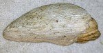 Six Nations False Face Soapstone Sculpture