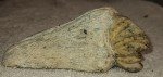 Six Nations False Face Soapstone Sculpture