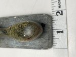 Inuit Soapstone Whale Carving on Base - 4
