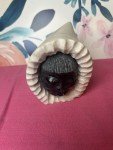 Signed Inuit Stone Face Carving - 04/99