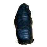 Inuit Carving: Dark Stone Walrus and Muskox