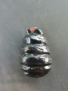 Vintage Soapstone Wolf Sculpture with Eskimo Children