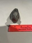 Inuit Soapstone Sea Duck Carving – Signed Vintage