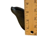 Handcrafted Inuit Soapstone Seal Sculpture - Signed