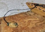 Inuit Wood Carving: Hunter with Seal Sculpture