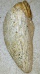 Six Nations False Face Soapstone Carving