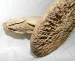 Inuit Carved Fish on Whalebone Disc Sculpture