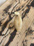 Inuit Antique Penguin Fossil Carving Figurine