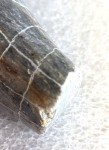Dave Alanna Inuit Stone Carving Set - 3 Pieces