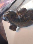 Hand Carved Brown Veined Marble Inuit Seal
