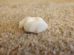 2" Inuit Carving of Polar Bear in Marble