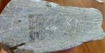 Inuit Soapstone Carving: Man Hunting Figure