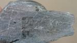 Inuit Soapstone Carving: Man Hunting Figure