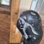 Black Soapstone Seal Carving with Fish Detail