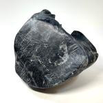 Peter Nauja Nowya Angiju Seal Soapstone Carving