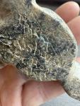 Inuit Soapstone Seal Sculpture by Harry Alaska