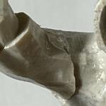 Inuit Hunter Soapstone Kayak Figurine Art Piece