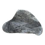 Inuit Soapstone Carving: Hunter with Seal 7