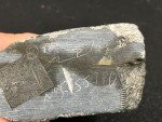 Signed Inuit Soapstone Seal Carving by Daniel