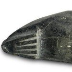 Seal & Sea Lion Soapstone Inuit Art Sculpture