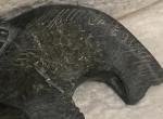 Inuit Soapstone Seal Carving - 6 Inches Long